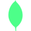 MongoDB icon